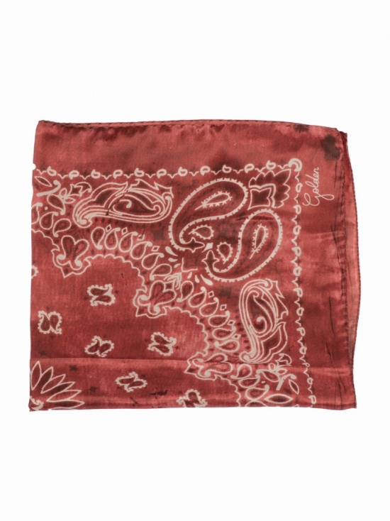 Golden Foulard Paisley Print Silk In 40385