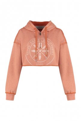 Emy Cropped Hoodie In Orange