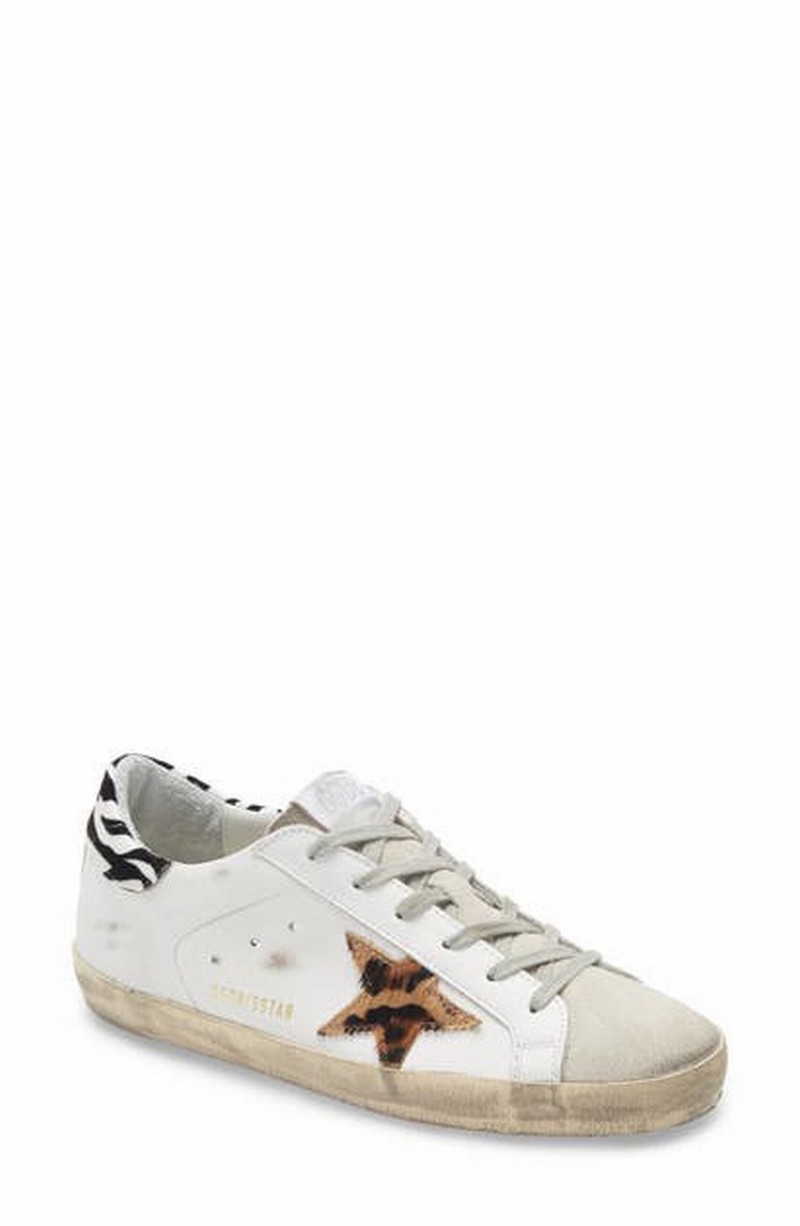 Superstar Distressed Leopard-print Calf Hair, Leather And Suede Sneakers In White